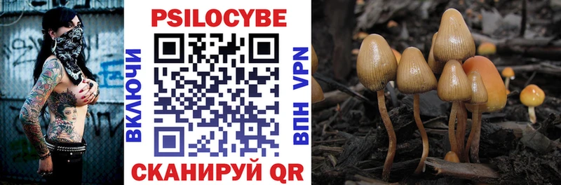 Псилоцибиновые грибы мухоморы  где купить наркоту  Агидель 